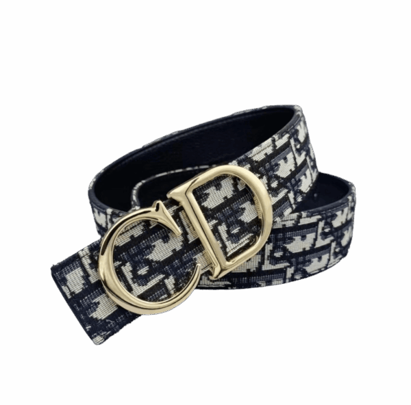 Joyagoo Spreadsheets DIOR Belt