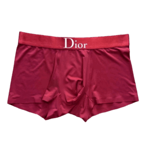 Joyagoo Spreadsheets Dior Underwear