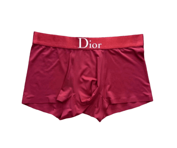 Joyagoo Spreadsheets Dior Underwear