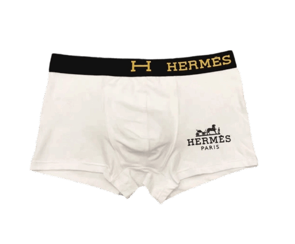 Joyagoo Spreadsheets HERMES Underwear
