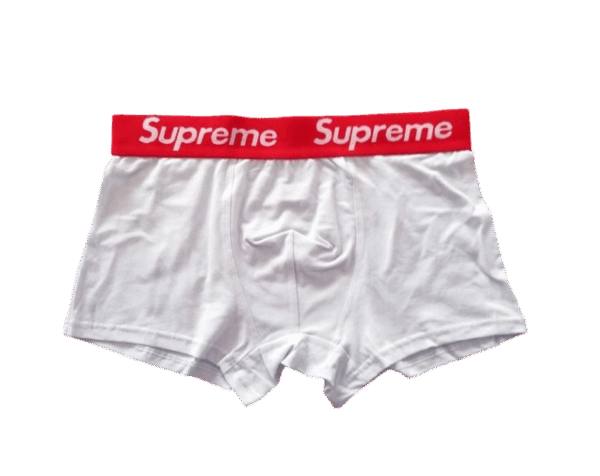 Joyagoo Spreadsheets Supreme Underwear
