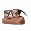Joyagoo Spreadsheets Rayban Sunglass