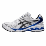 Joyagoo Spreadsheets ASICS SHOES