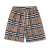 Joyagoo Spreadsheets Burberry Shorts